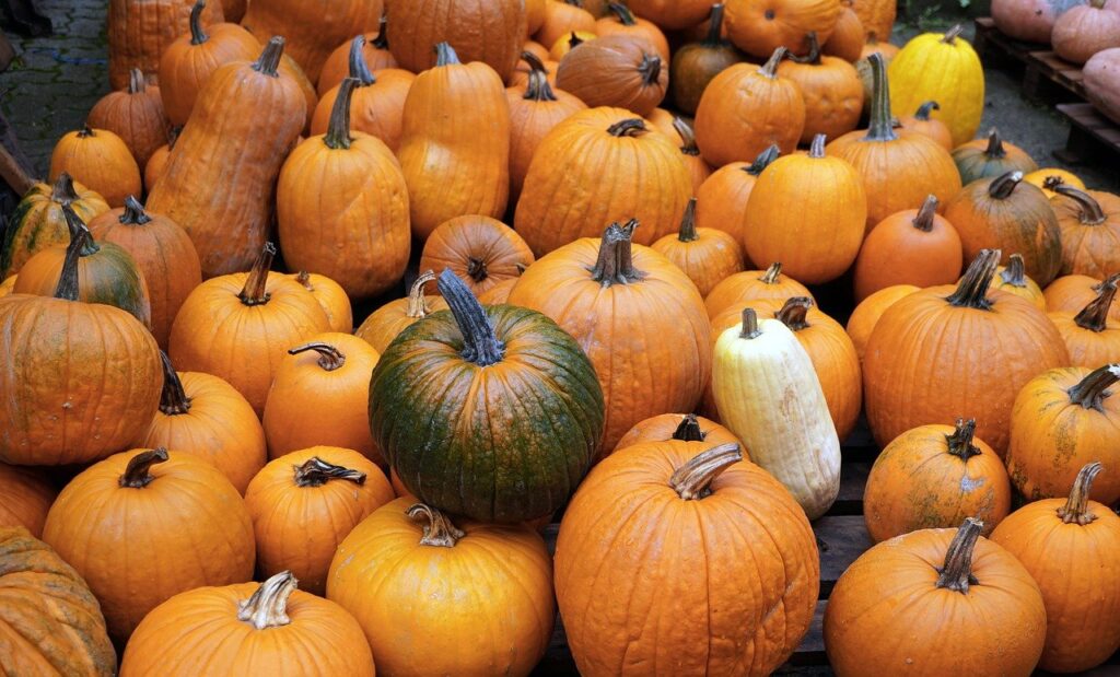 pumpkins, fall, gourds-7484506.jpg